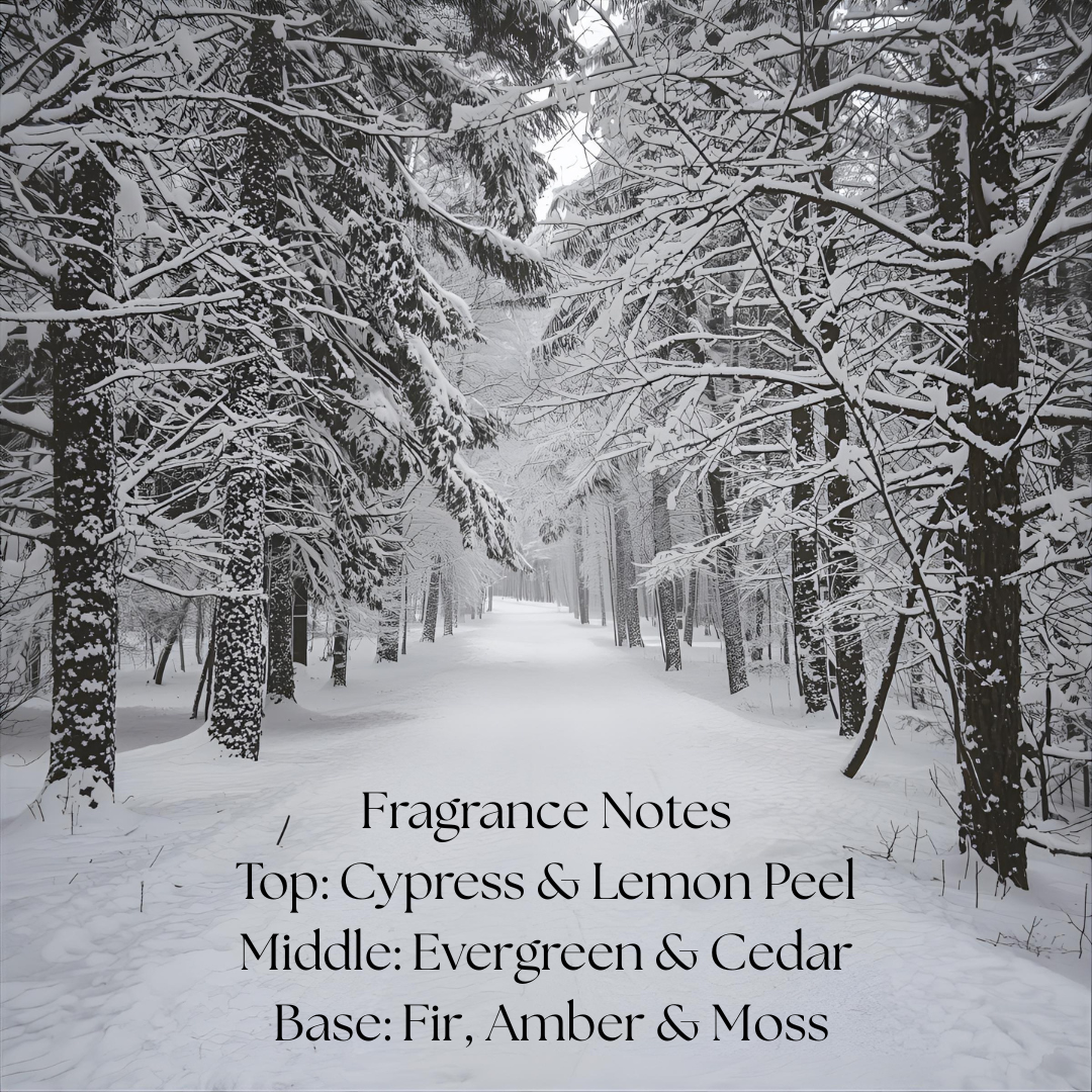 Forest & Frost